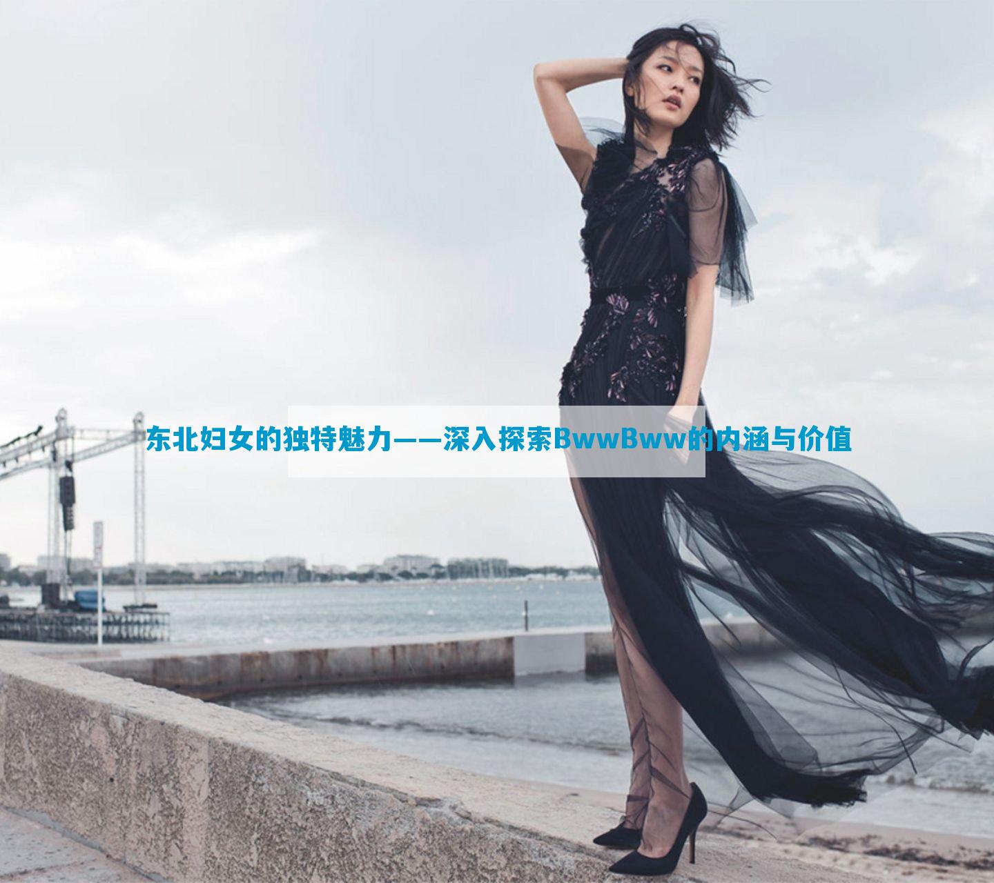 东北妇女的独特魅力——深入探索BwwBww的内涵与价值