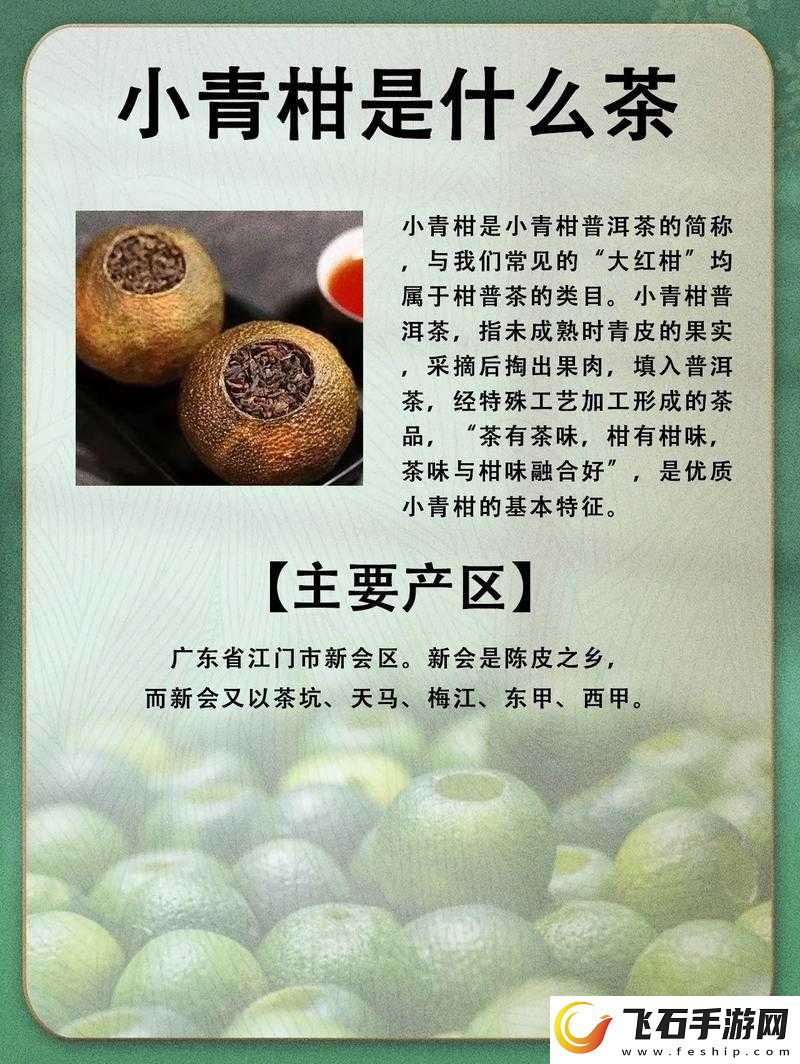 小青柑一线产区与二线产区区别解析