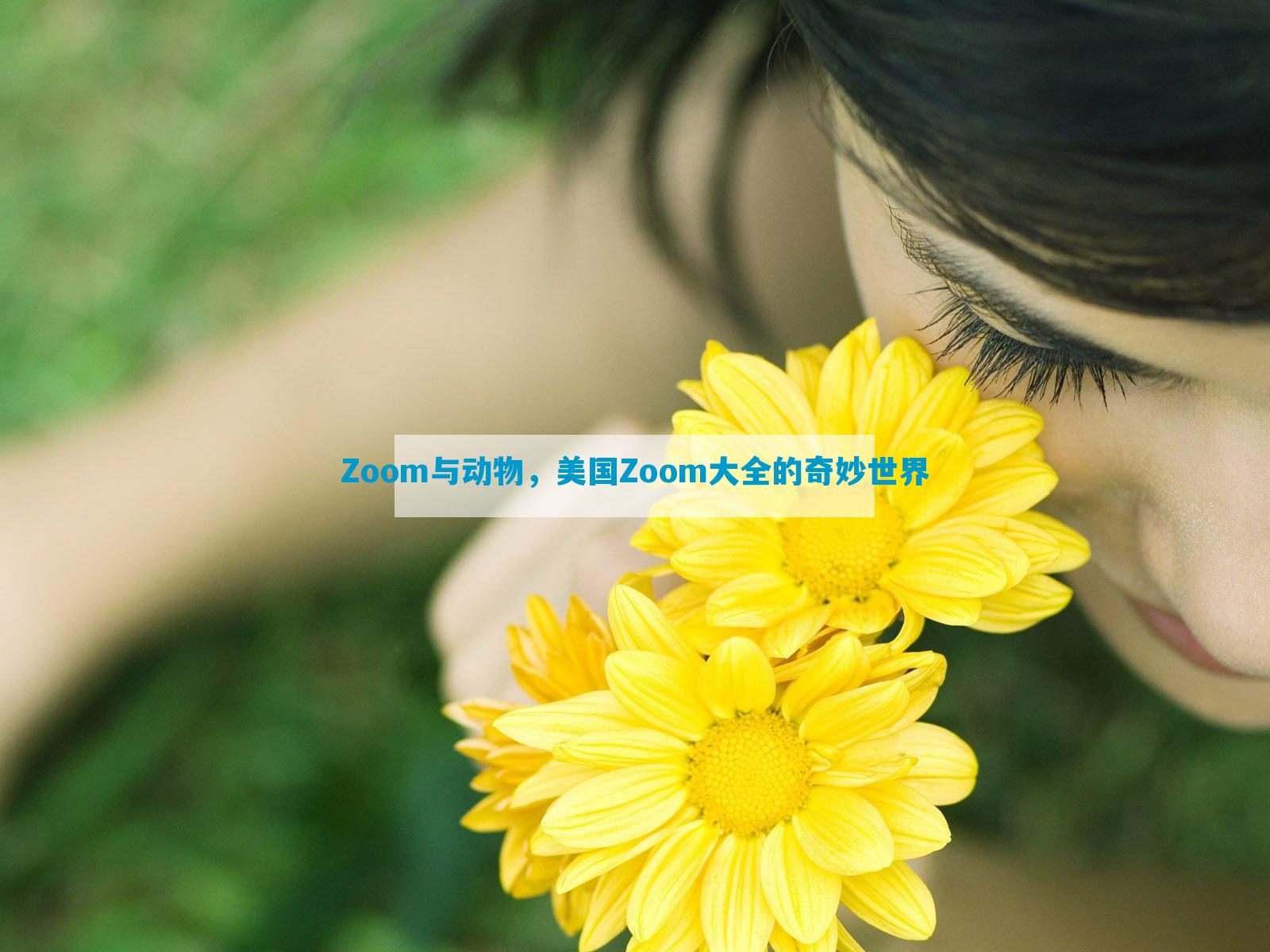 Zoom与动物，美国Zoom大全的奇妙世界