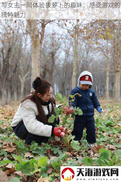 与女主一同体验拔萝卜的趣味