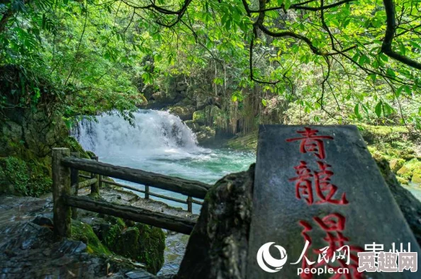 海角绿意盎然披风少年：最新动态展示了他在自然保护活动中的积极参与与环保理念的传播