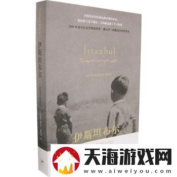 探究与梳理，土耳其大师奥尔汉·帕慕克的文学创作与西方37大文体艺术的深度融合