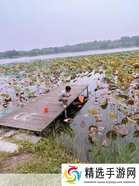 揭秘99无人区码一码二码三1080p不再是梦