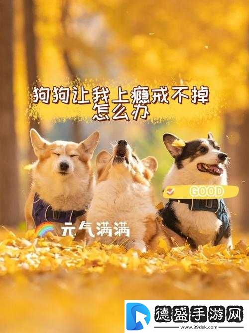 狗狗让我上瘾戒不掉怎么办