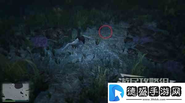 GTAOL全海底迷幻仙人掌位置一览