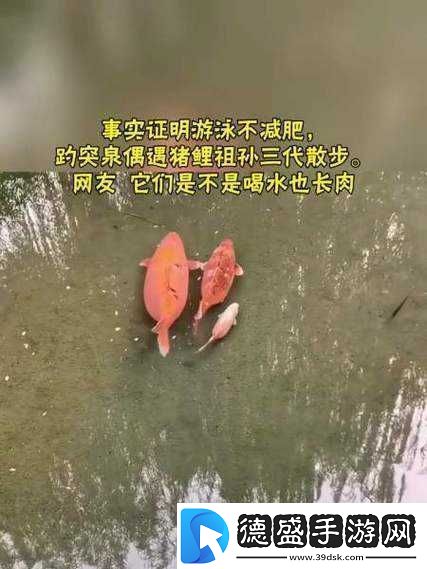 女人鲤鱼喝水图解大全之详细解析