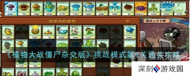 植物大战僵尸杂交版挑战模式第9关怎么过 挑战模式第9关通关方法