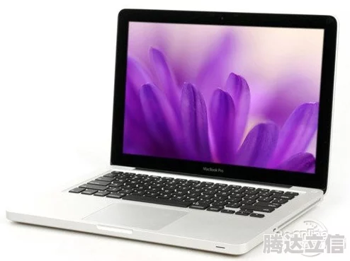 18-19款 MacBook Pro 评测：深入分析这两年间苹果笔记本的性能、设计与用户体验，帮助你做出明智的购买决策