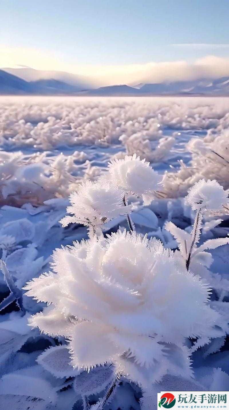 黑土：娴熟腿脚法，给你好看