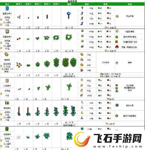 星露谷物语秋季游园会全攻略