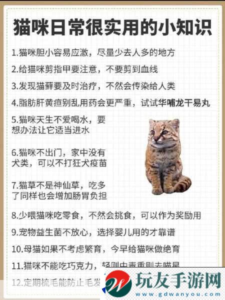 小猫咪大城市日常美容动作怎么获得