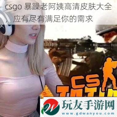 csgo 暴躁老阿姨高清皮肤大全，应有尽有满足你的需求