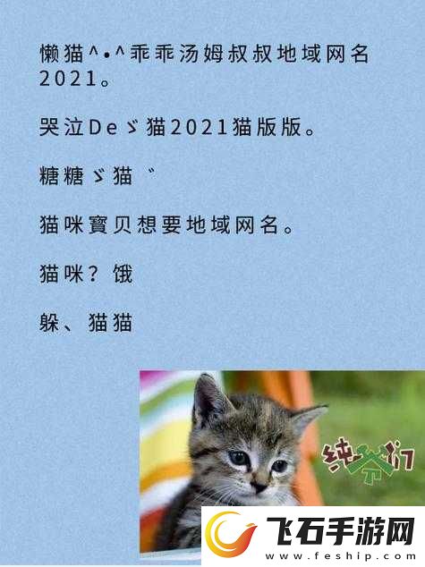 猫咪视频最新地域名怎么取之探讨