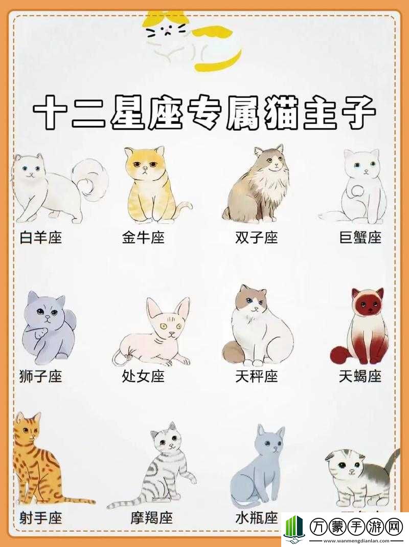 猫咪的永久地域名是什么