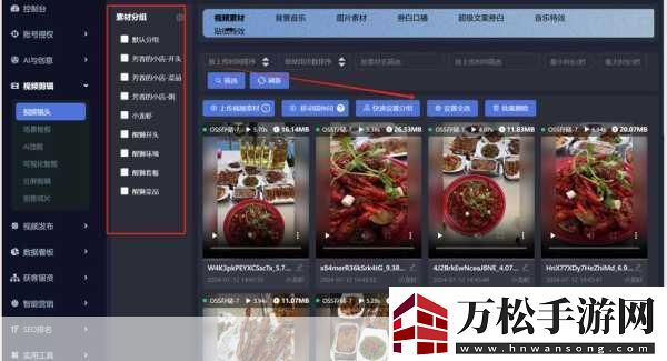 seo短视频网页免费入口引流