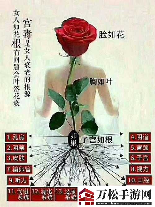 什么叫女人半夜莲花开