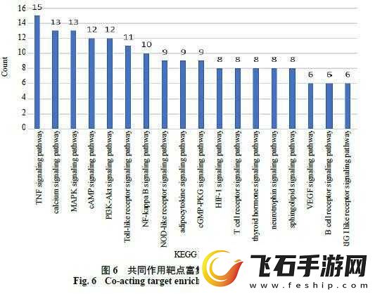 关于失落城堡中船长三三头套究竟值不值得购买的探讨