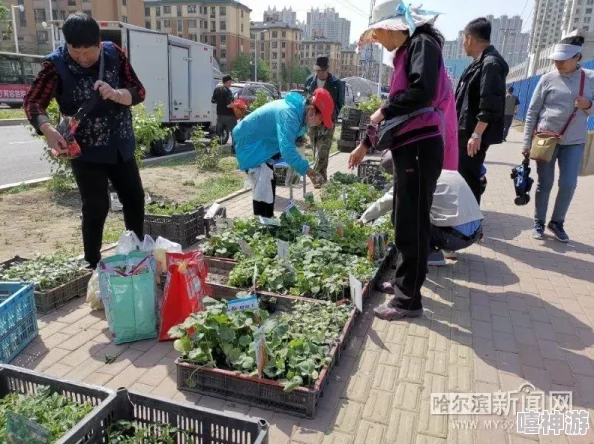 草莓丝瓜巨人