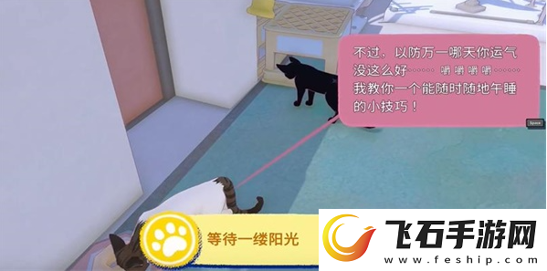 小猫咪大城市等待一缕阳光任务攻略