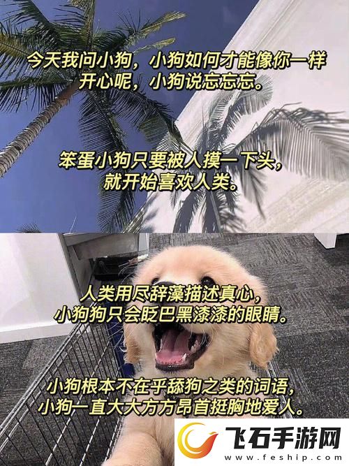 小狗今天草到主人了吗小说