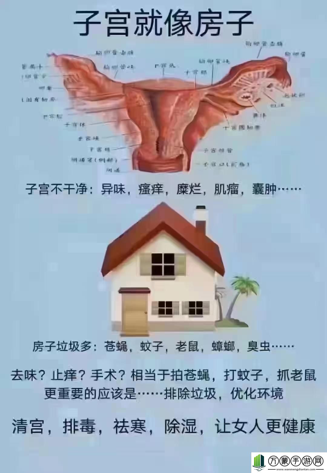 女性的秘密花园飘出银丝谜团