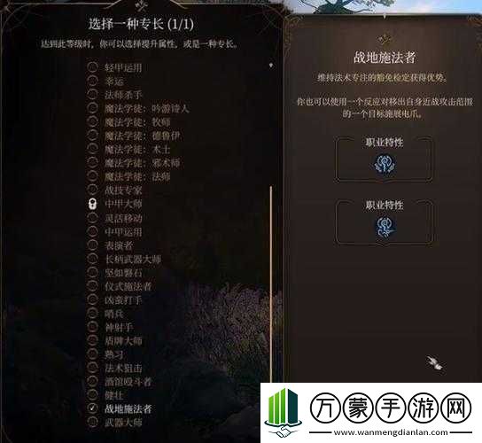 博德之门3法师技能熟练项选择指南