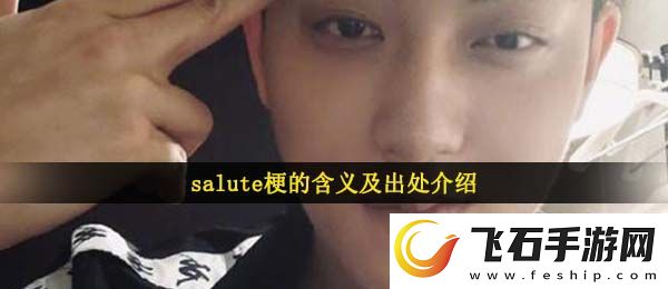 salute是什么意思