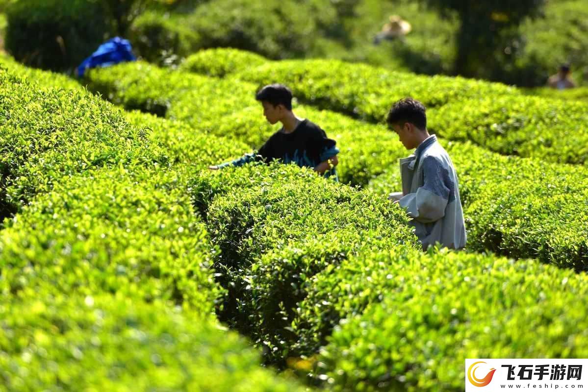 旅行者和丽莎拔萝卜视频