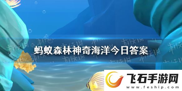 以下哪种珊瑚有音乐珊瑚之称神奇海洋11月1日答案