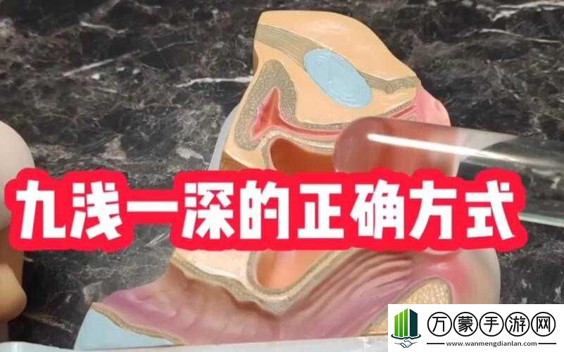 九浅一深的含义究竟是什么