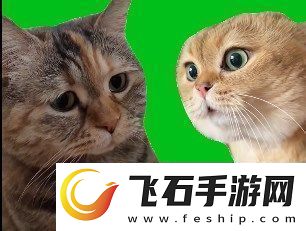 猫猫对话是什么梗络用语