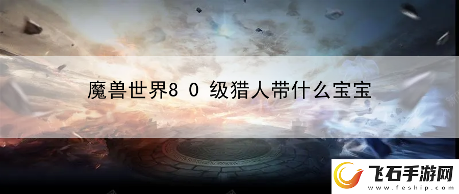 魔兽世界80级猎人带什么宝宝