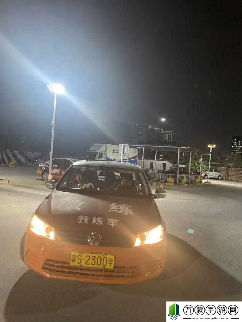 女性跟教练晚上练车