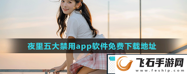 探索“100种夜里禁用app软件”