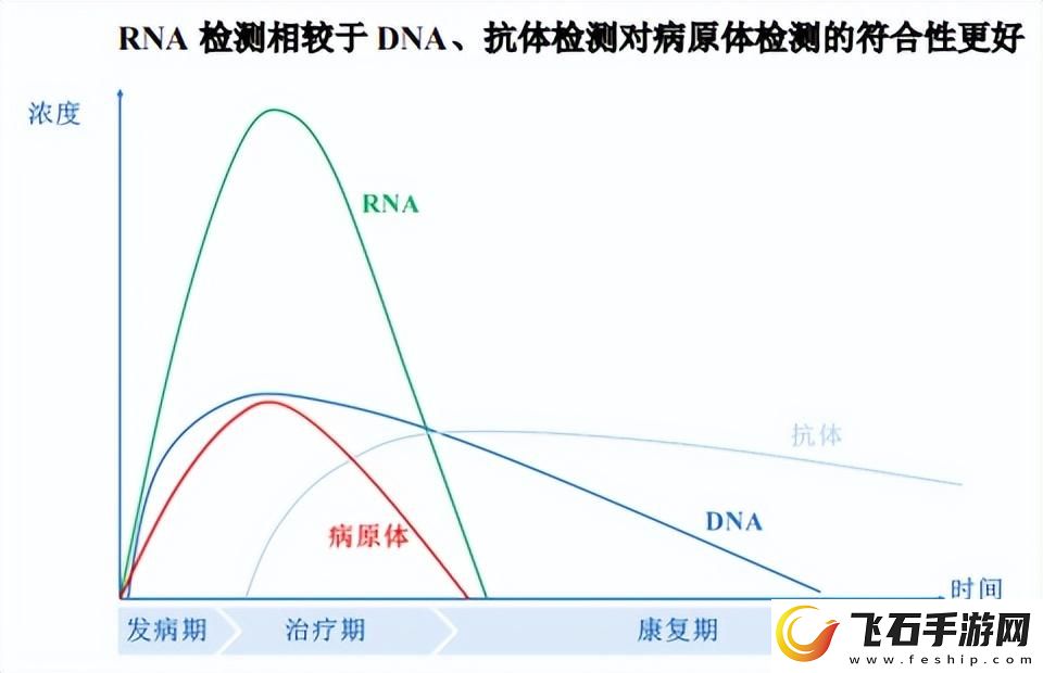 全面解析