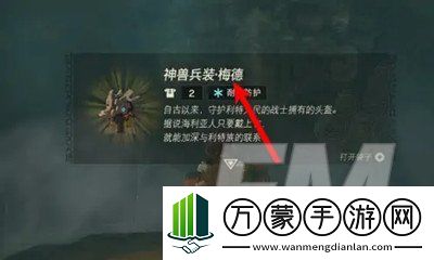 塞尔达传说王国之泪神兽兵装梅德有什么效果