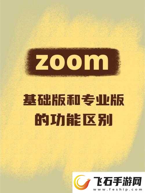 Zoom