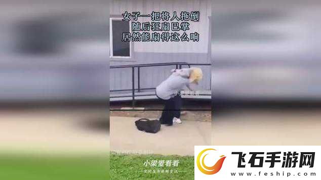 只要一顶嘴就会被主人扇巴掌