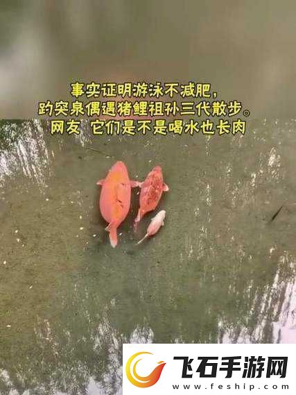 女人鲤鱼喝水图解大全之详细解析