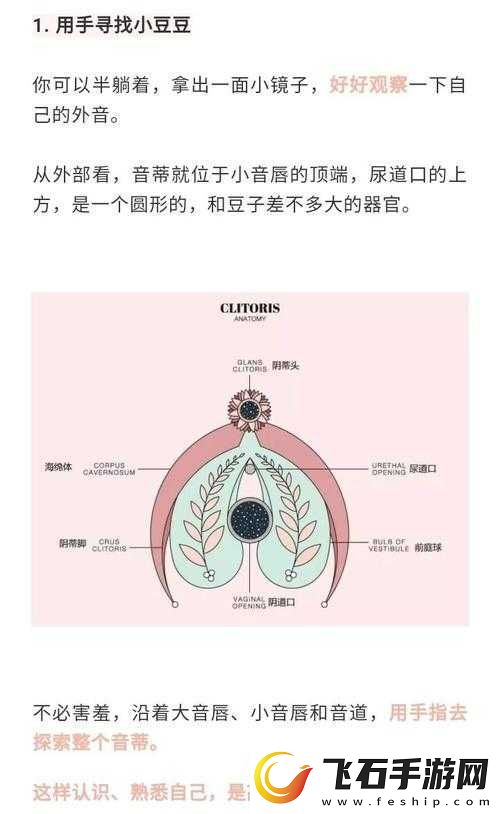 怎么让小豆豆变大的方法