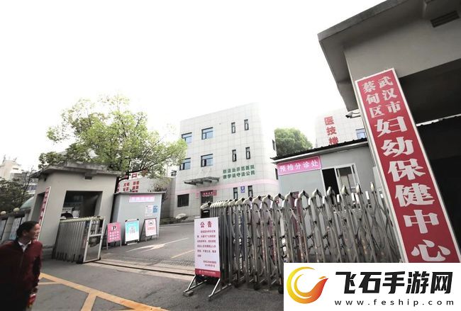 免费下载拔萝卜高清视频及播放指南