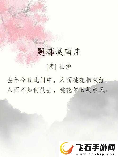 两瓣桃花千人品