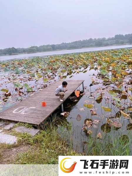 揭秘99无人区码一码二码三1080p不再是梦